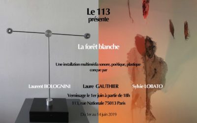 01.06 La forêt blanche